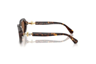 [glasses-side-view] Swarovski SK6028 (100273)