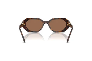 [glasses-back-view] Swarovski SK6028 (100273)