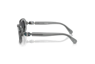 [glasses-side-view] Swarovski SK6028 (10626G)