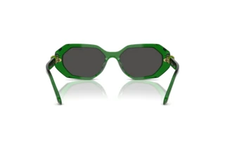 [glasses-back-view] Swarovski SK6028 (106487)