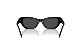 Vista posterior Swarovski SK6029 (100187)