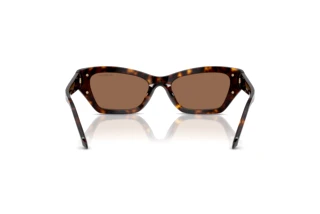 Vista posterior Swarovski SK6029 (100273)