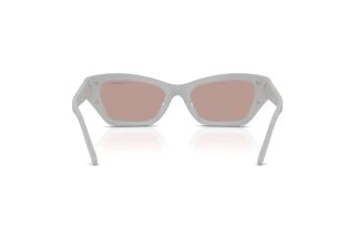 Vista posterior Swarovski SK6029 (10317N)