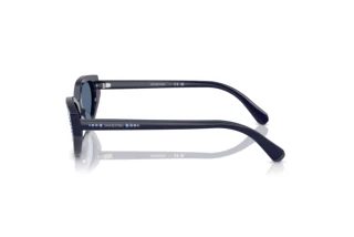 [glasses-side-view] Swarovski SK6030 (100455)