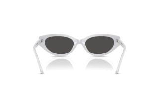 Vista posterior Swarovski SK6030 (106087)