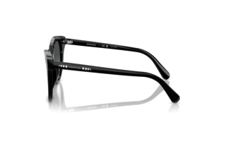 Vista lateral Swarovski SK6031 (1001T3)