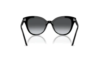 Vista posterior Swarovski SK6031 (1001T3)