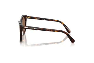 Πλευρική όψη Swarovski SK6031 (100273)