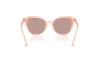 Πίσω όψη Swarovski SK6031 (10317N)