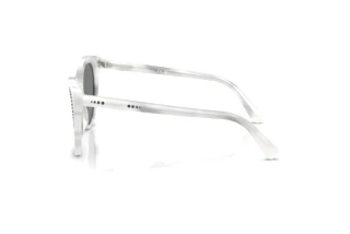 [glasses-side-view] Swarovski SK6031 (104287)
