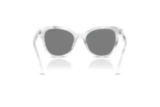 [glasses-back-view] Swarovski SK6031 (104287)