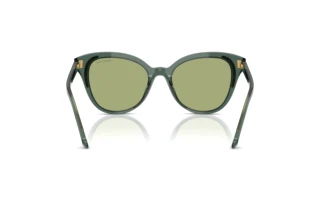 [glasses-back-view] Swarovski SK6031 (104382)