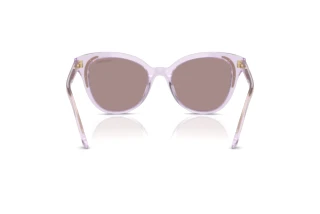 [glasses-back-view] Swarovski SK6031 (1079LA)