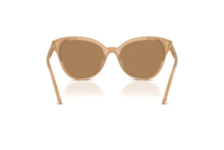 Vista posterior Swarovski SK6031 (2002M4)