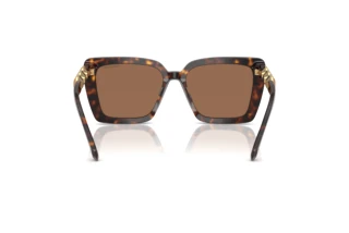 Vista posterior Swarovski SK6032 (100273)