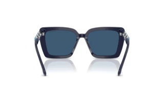 Vista posterior Swarovski SK6032 (100455)