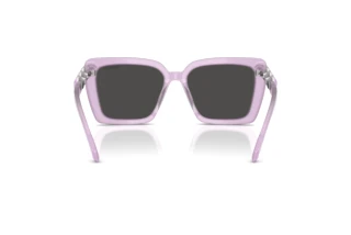 [glasses-back-view] Swarovski SK6032 (107587)