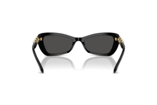 Vista posterior Swarovski SK6033 (100187)