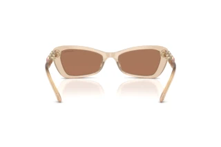 Vista posterior Swarovski SK6033 (106673)