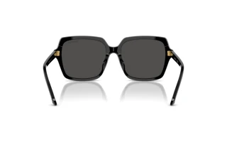 Vista posterior Swarovski SK6034D (100187)