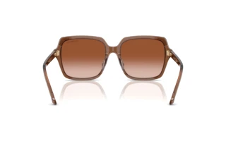 Πίσω όψη Swarovski SK6034D (106713)