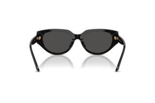 Vista posterior Swarovski SK6035D (100187)