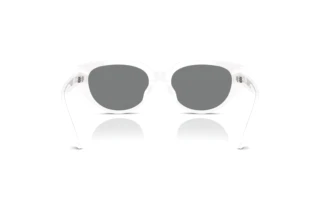 Vista posterior Swarovski SK6035D (105087)