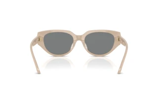 Vista posterior Swarovski SK6035D (106887)