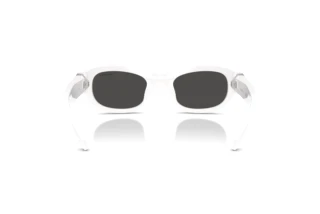 Vista posterior Swarovski SK6036U (105087)