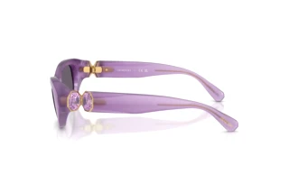 [glasses-side-view] Swarovski SK6036U (10751A)