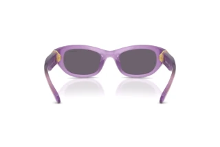 [glasses-back-view] Swarovski SK6036U (10751A)