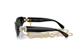 [glasses-side-view] Swarovski SK6036U (107687)