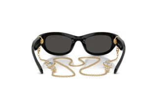 [glasses-back-view] Swarovski SK6036U (107687)