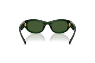 Vista posterior Swarovski SK6036U (108171)