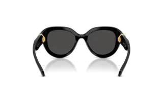 Vista posterior Swarovski SK6037 (100187)