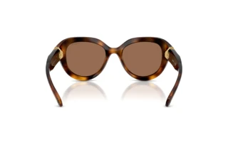 Vista posterior Swarovski SK6037 (100273)