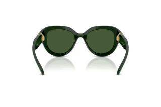 Vista posterior Swarovski SK6037 (102671)