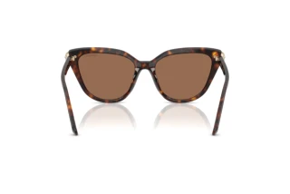 [glasses-back-view] Swarovski SK6039 (100273)