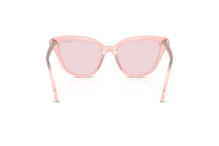 Vista posterior Swarovski SK6039 (1041P5)