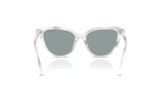 Vista posterior Swarovski SK6039 (1042/1)