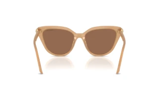 Vista posterior Swarovski SK6039 (2002OK)