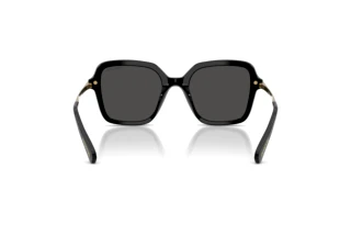 Vista posterior Swarovski SK6040 (100187)