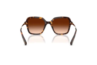 Vy bakifrån Swarovski SK6040 (100274)