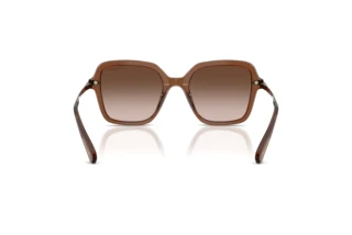 Vista posterior Swarovski SK6040 (106713)