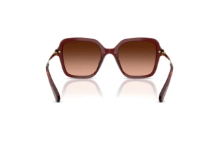 [glasses-back-view] Swarovski SK6040 (10735M)