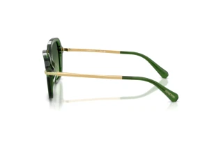 Vedere laterală Swarovski SK6040 (10812A)