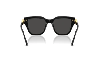 Vista posterior Swarovski SK6041 (100187)