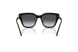 Vista posterior Swarovski SK6041 (1001T3)