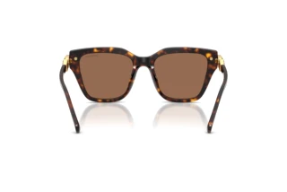 Vista posterior Swarovski SK6041 (100273)