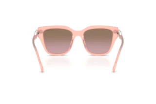 Vista posterior Swarovski SK6041 (104114)